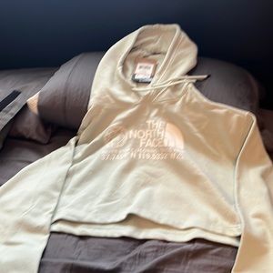The north face cropped hooded logo top green mist-XXL